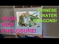 Huge New Water Dragon Enclosure |  MadMaker Reptile