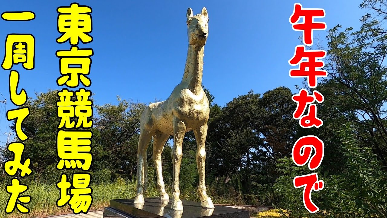 午年なので東京競馬場一周してみた　東京都府中市