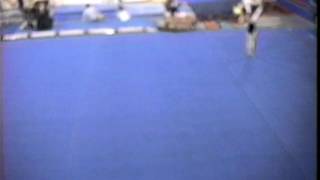 Level 5 Gymnastics meet 2004