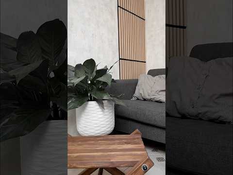 Трендовые рейки без строителей #trendingshorts #diydecor #diy #diydecors #ремонт #homedecor