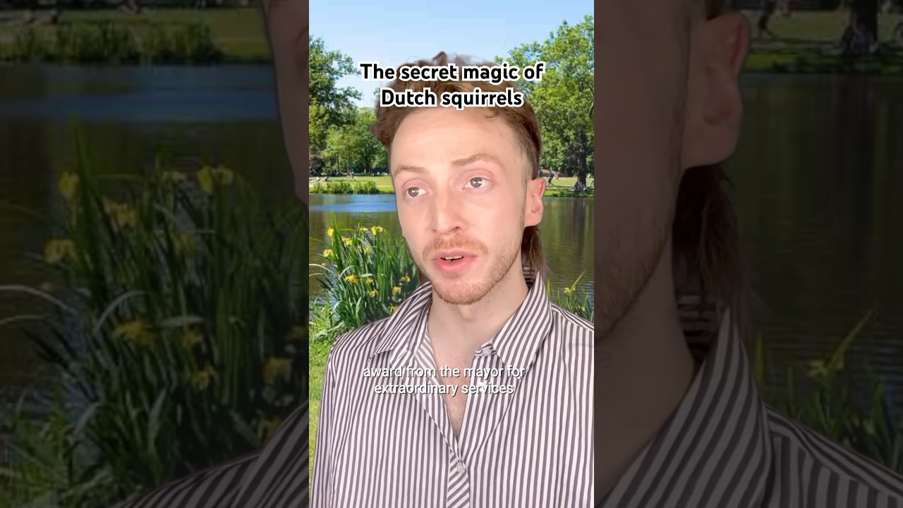 The secret magic of Dutch squirrels 🐿️  