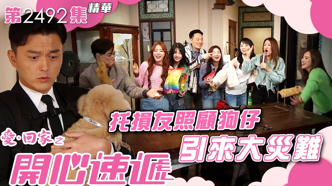 愛回家之開心速遞｜托損友照顧狗仔引來大災難(繁／簡字幕)｜楊明｜崔錦棠｜鄧永健｜第2492集劇集精華｜TVB港劇精華 #喜劇 #搞笑 #電視劇
