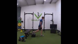 RFE Split Squat Isometric Holds for reps