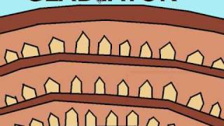 Club Penguin Gladiator Movie - Part One Tortoise Jr And Mop8