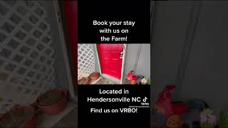 The Farmhouse Retreat! WIFI / Pet friendly! Private petting zoo outside front door!