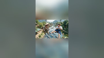 Capybara thi đu dây zipline với bống béo và cái kết #ai #veo3 #trending #funny #capybara #shorts