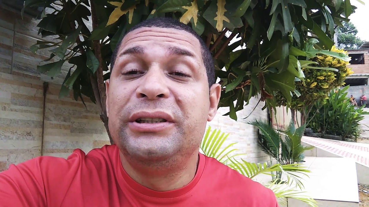 Como Destravar O Seu Coleiro YouTube