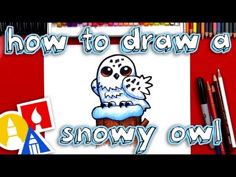 How To Draw A Snowy Owl Cartoon🦉