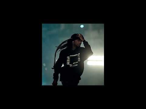 Playboi Carti Roar Extended 