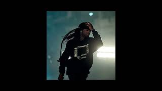 Playboi Carti Roar Extended