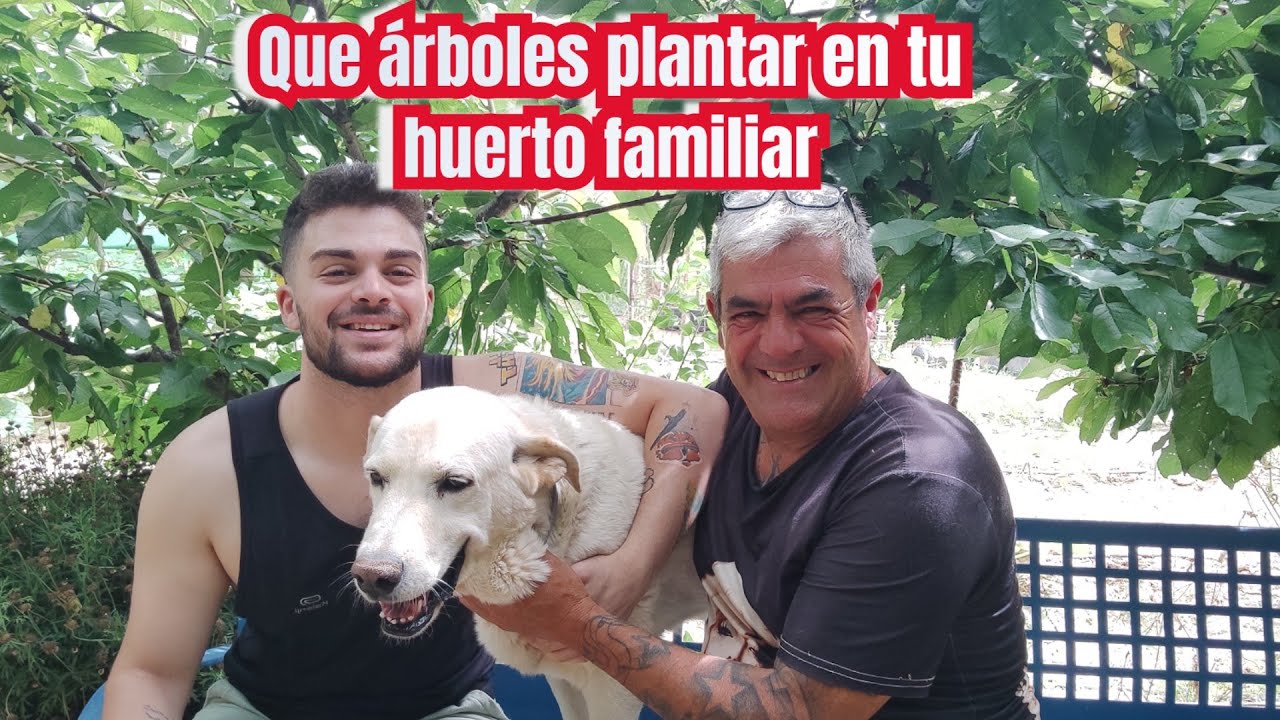 Los arboles que debes plantar en tu huerto familiar
