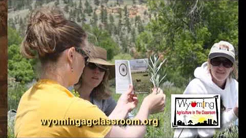 Wy Ag in the Classroom Carol Mead PSA HD 720 1