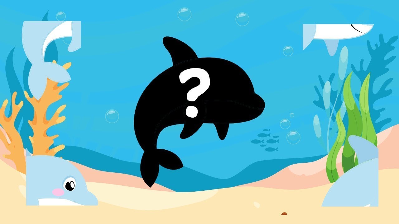 Brincadeiras com ANIMAIS Marinhos para crianças - Vídeo infantil