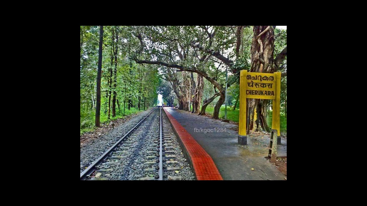 South indian tribal people song ( kerala )