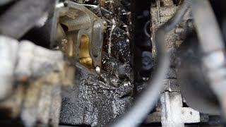 e46 Oil filter housing gasket replacement