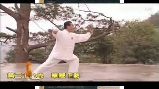 杨赵太极拳37式-赵幼斌演示 口令中英文字幕