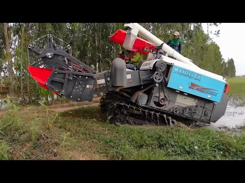 World Most Modern Agriculture Technology | Best Action Equipment Compilation #Farmer Agriculture