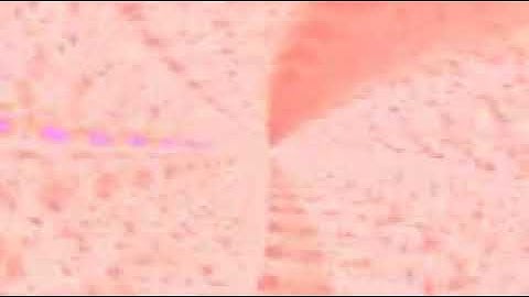 سورة الهمزة سعود الشريم