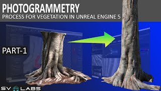 Photogrammetry process for Vegetation in Unreal Engine 5 - Part1