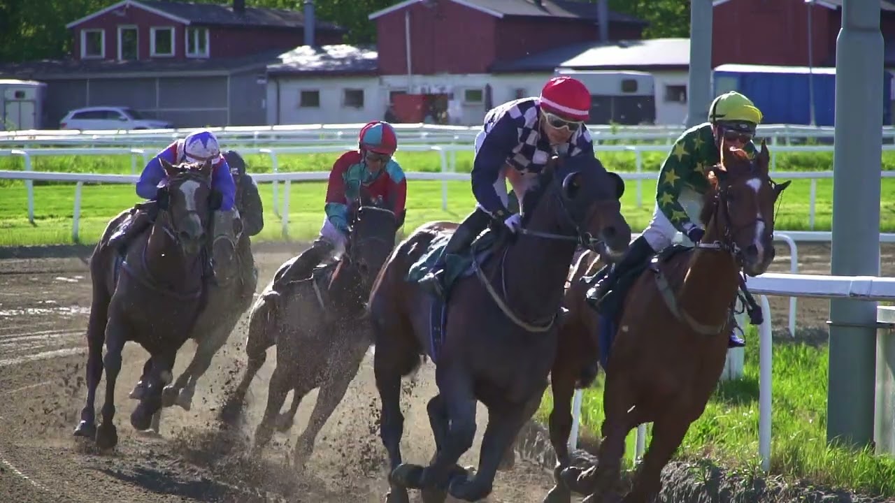 Øvrevoll Galopp løpsdag 26.05.2022. Løp #2 kl. 18:15, FLYING FALK HANDICAP (2400dt)