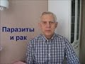 Паразиты и рак Alexander Zakurdaev