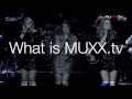 What is muxxtv