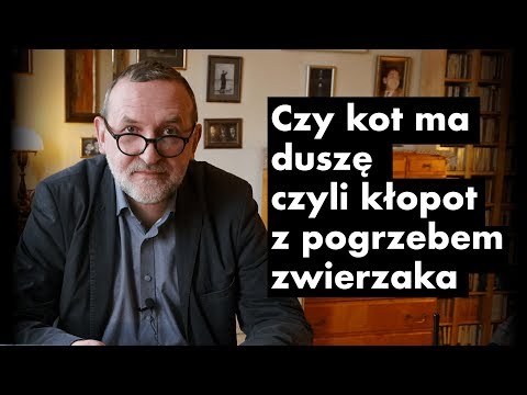 Wideo: Koty Po śmierci. Czy Koty Mają Dusze? - Alternatywny Widok