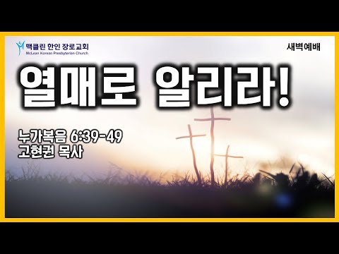 열매로 알리라 썸네일