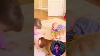 Dogs and babies growing up together 🥰❤️ | #1 | #dog #friendship #doglove #fyp #bestfriend