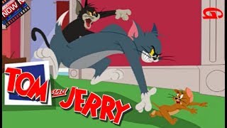 Tom And Jerry - Chasing Jerry | How to Play screenshot 5