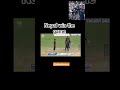 Nepal vs Uae odi #cricket #trending #odi #icc #shorts