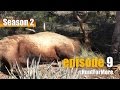 2 big arizona bull elk episode 9