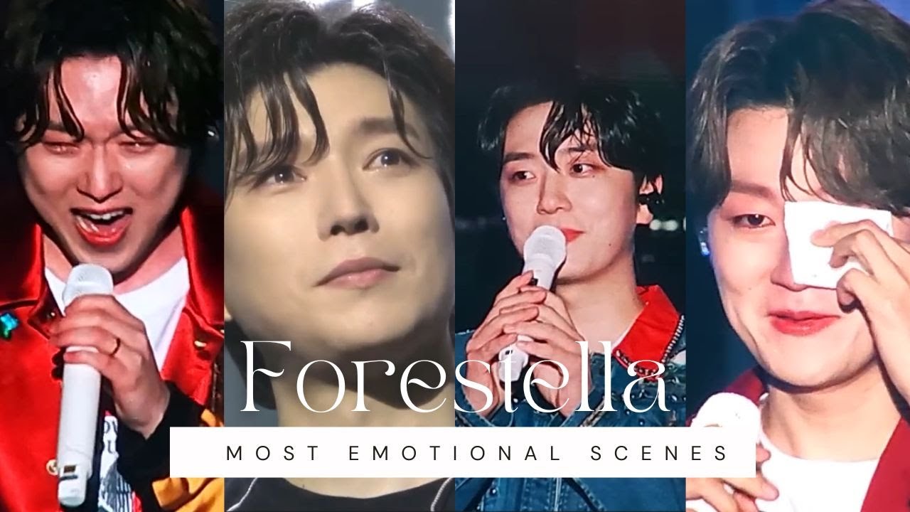 The Most Heartbreaking Moments of Forestella | When Music Meets Tears 💔🎶 #포레스텔라 #forestellatears