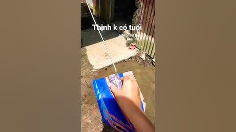 bobo thái #giabao  thịnh k có tuổi