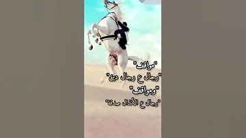 مواقف الرجال ع الرجال دين 