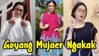 Tik Tok Viral Goyang Digeboy Geboy Mujair Ngakak Paling Lucu