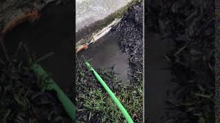 Jettersnorthwest Brute 12Gpm