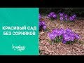 Красивый сад без сорняков