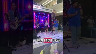 Download Lagu Lagu Stecu Stecu Kah ini? #music #laguviral #lagu #kocak #lucu #fypシ゚viral #fyp MP3
