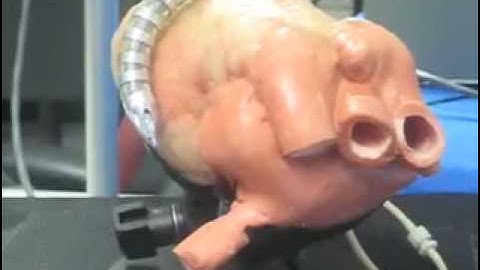 Snake Robots at CMU - Long Version