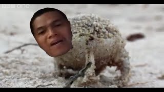 Angry Globe Customer Frog