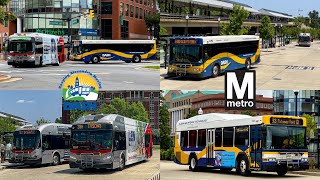 WMATA and DASH Alexandria Transit Company Bus Compilation at King Street-Old Town #5