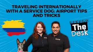 Traveling Internationally with a Service Dog: Airport Tips and Tricks