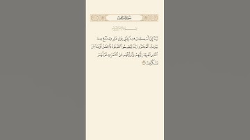 SURAH IBRAHIM AYAT 37|سورة ٣٧|إبراهيم آيت BY QARI MUHAMMAD IQBAL BIN AHMAD #quraan #qurantilawat