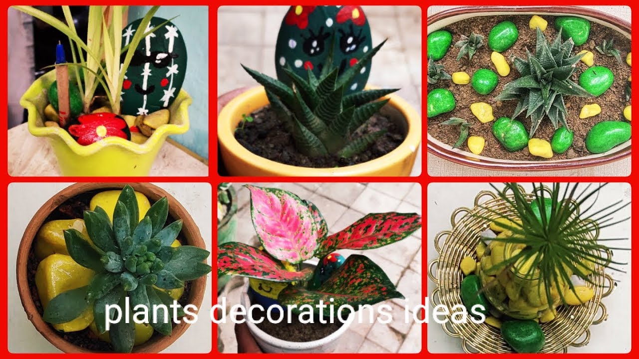 New&latest plants decorations ideas,Home decor ideas with indoor