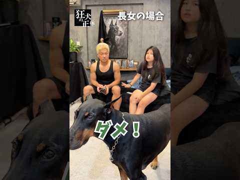 【ドッキリ】長女と次男の対応の違いに仕返しをしてみた結果