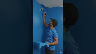Luxury Plastic Paint Finish | Ghar Ko De Royal Look ✨ #interiordesign #homedecor #viral #shorts #yt