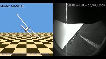 Autonomous terrain following using stereo vision