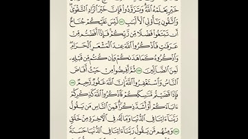 قرآن -  سورة البقره - الجزء الثاني - صفحة 31 - من أية رقم 197 إلى 202.