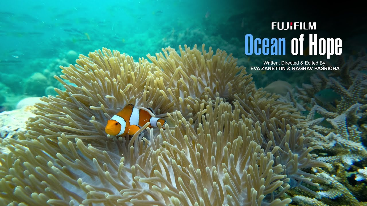 Fujifilm X-S20: Ocean of Hope - YouTube